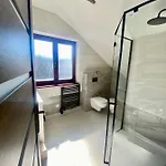 Rosa Vila